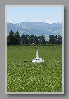 IMG_2885.JPG (72.6 KB)