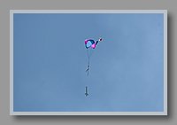 IMG_2960.JPG (20.0 KB)