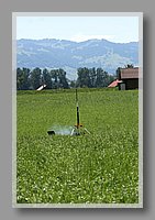IMG_3019.JPG (78.6 KB)