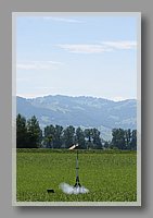 IMG_3119.JPG (50.3 KB)