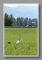 IMG_3255.JPG (73.9 KB)