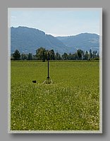 HPIM1817.JPG (93.4 KB)