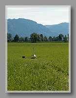 HPIM1850.JPG (88.4 KB)