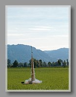 HPIM1851.JPG (42.1 KB)