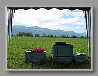 IMG_0779.JPG (80.4 KB)