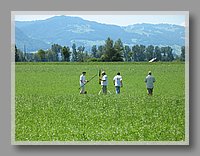 IMG_0798.JPG (102 KB)