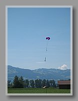 IMG_0827.JPG (36.8 KB)