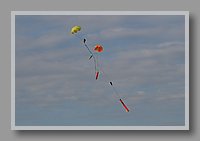 IMG_7519.JPG (24.2 KB)