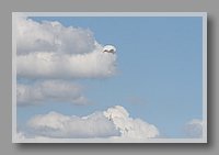 IMG_4766.JPG (25.8 KB)
