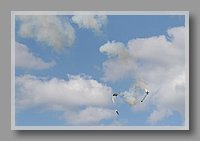IMG_4801.JPG (30.7 KB)