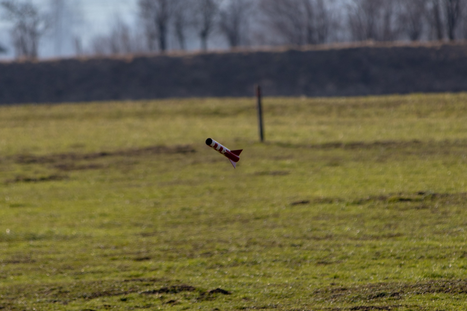 IMG 7168